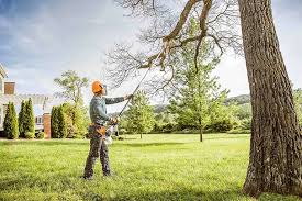 Best Lawn Mowing  in Jellico, TN